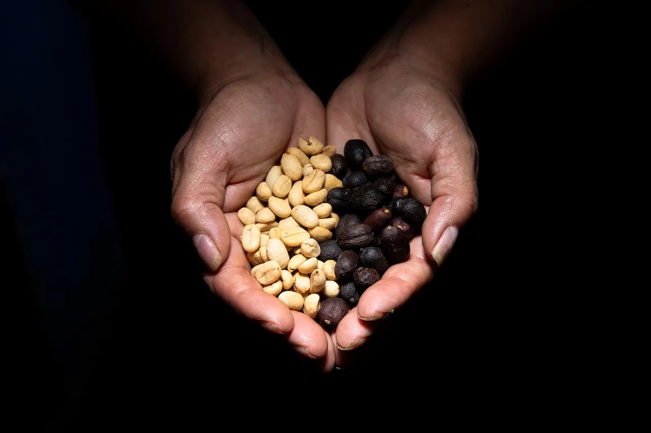 RUTA CULTURAL CAFETERA