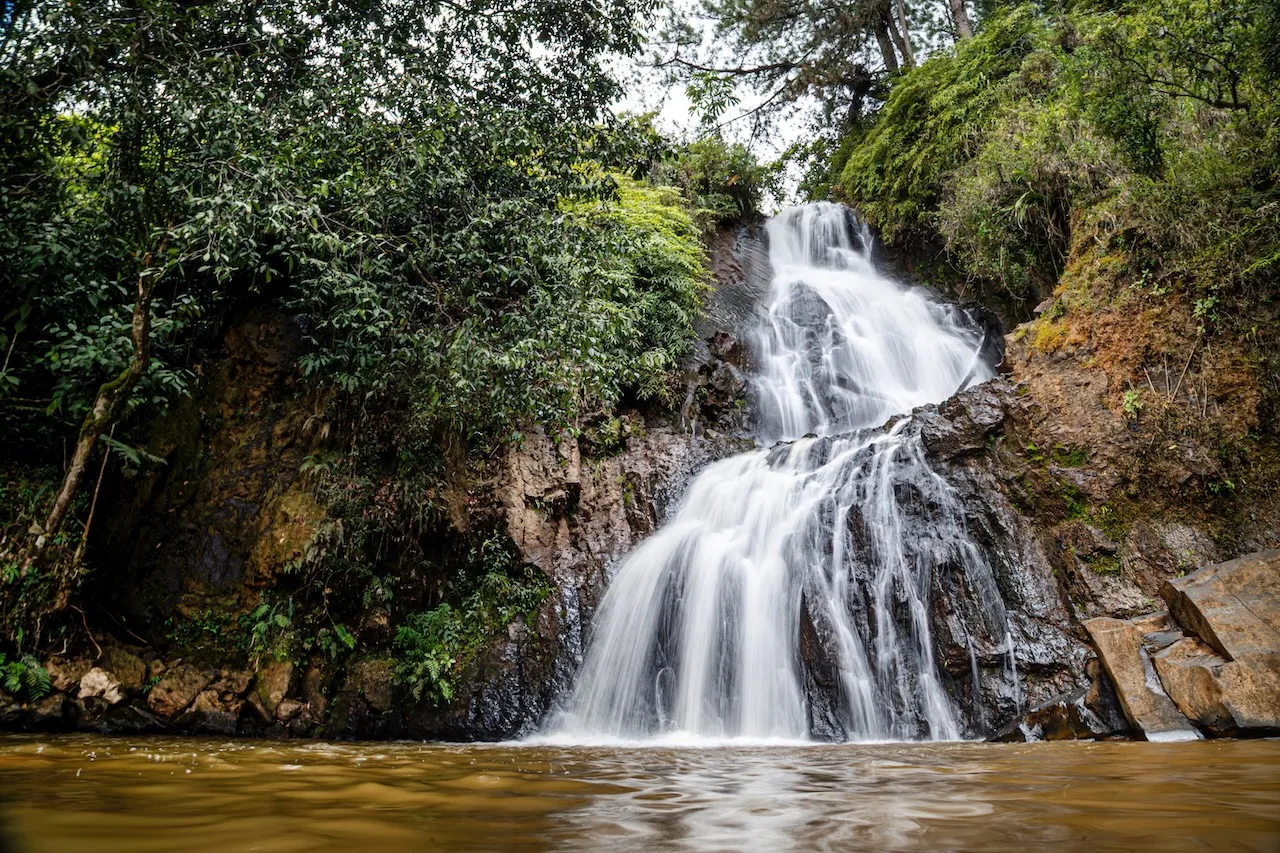 PERMACULTURA: BIENESTAR EN CONTACTO CON LA TIERRA