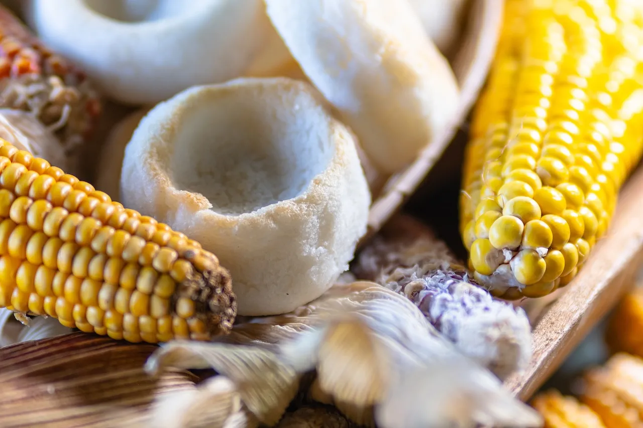 RUTA DEL MAÍZ GRANO ANCESTRAL