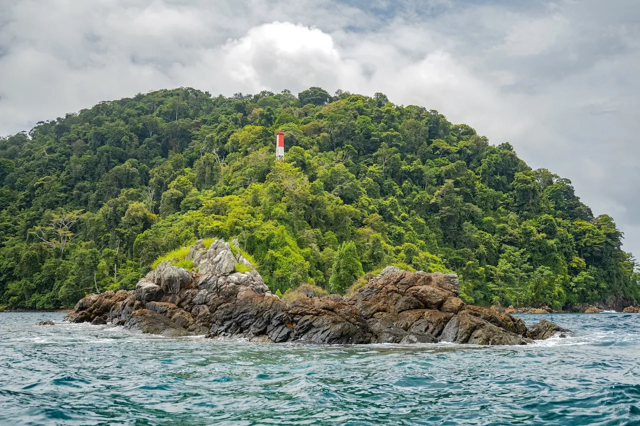 CANTOS DE MAR Y RÍO CON AVISTAMIENTO DE BALLENAS EN GORGONA