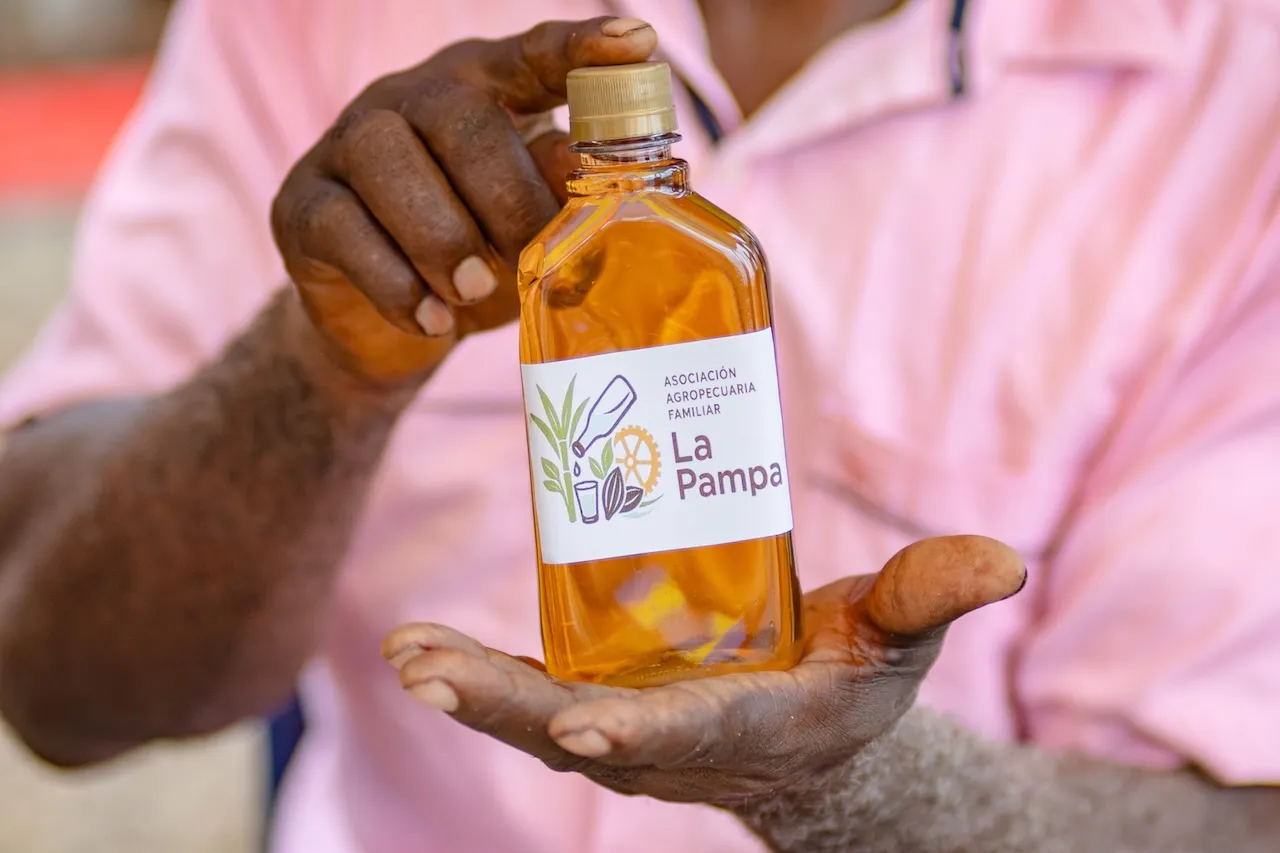 VICHE, BEBIDA ANCESTRAL QUE SANA