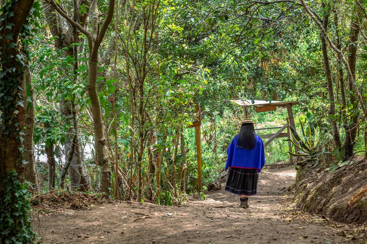 CAMINO DE COLORES KØSHØMPØTØ MAY