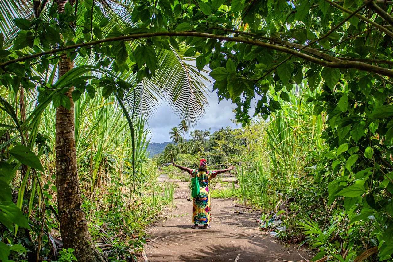 VIVE UNA EXPERIENCIA POR EL PACÍFICO