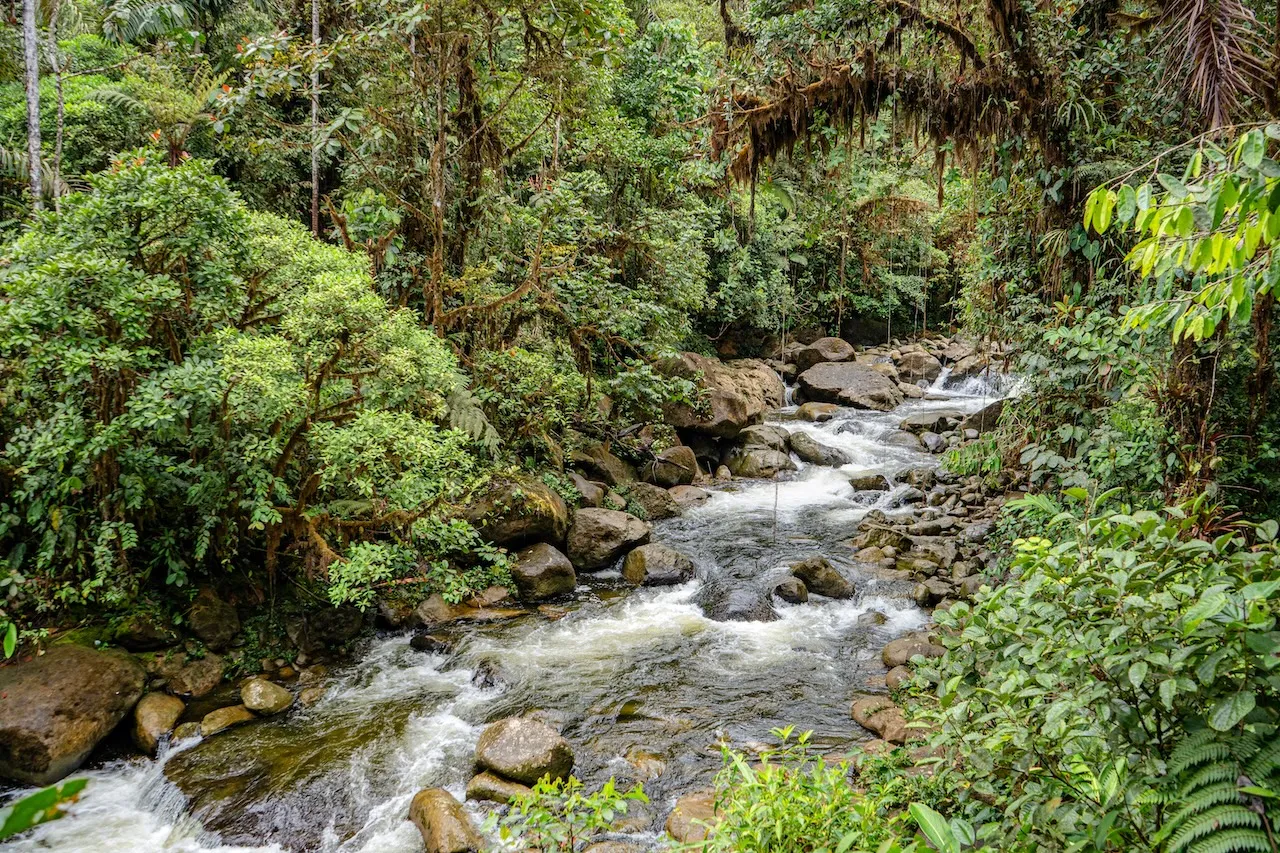 RESERVA NATURAL RÍO ÑAMBÍ