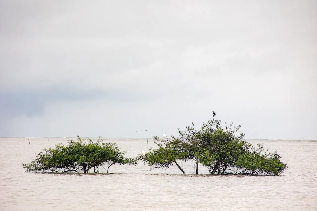 ENTRE EL MAR Y EL MANGLAR, AVENTÚRATE A LO ANCESTRAL
