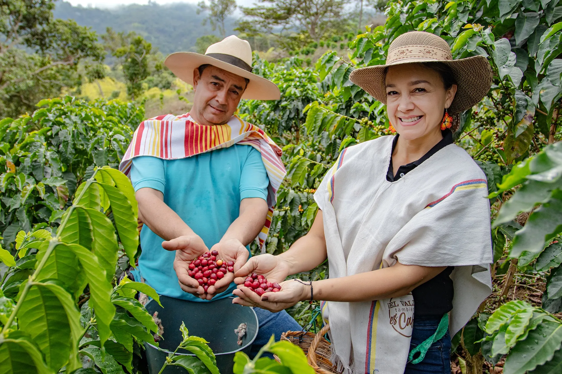 RECORRIDO CAFETERO SALMA COFFEE