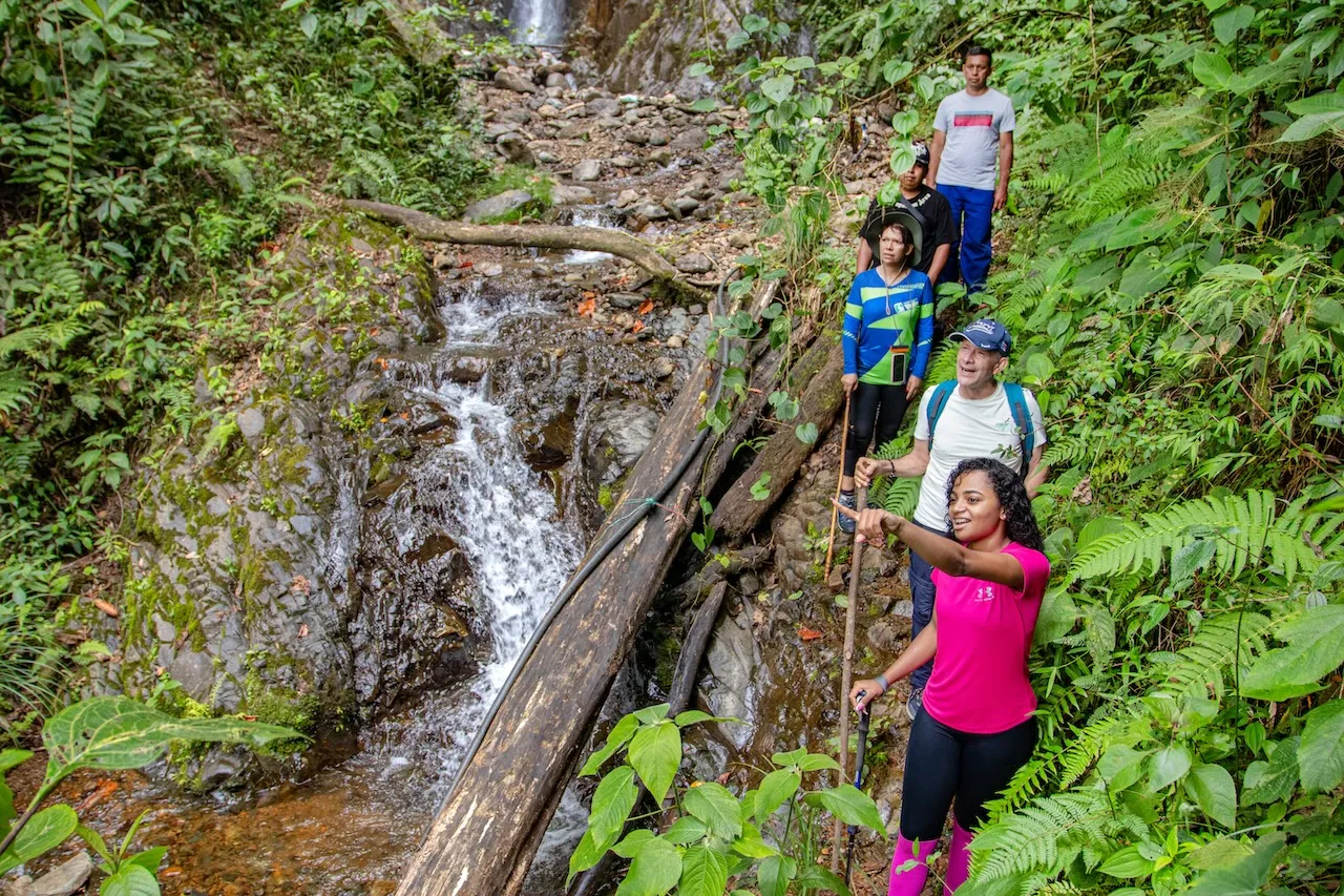 BOSQUE, CASCADA Y YOGA